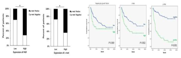 HGF, c-met, p-met의 발현의 상관성 및 구강암 환자의 생존율에 미치는 영향