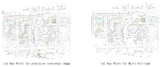 정밀기준 영상 및 다고도 영상에 대한 특징점 추출