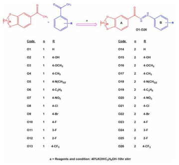 26종의 합성 화합물 유도체 oxygenated chalcones