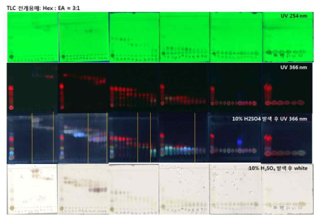 오픈칼럼 크로마토그래피의 TLC 분석