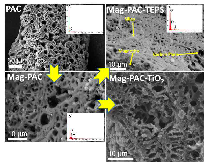 FESEM images of PAC, mag-PAC, mag-PAC-TEPS 그리고 mag-PAC-TiO2