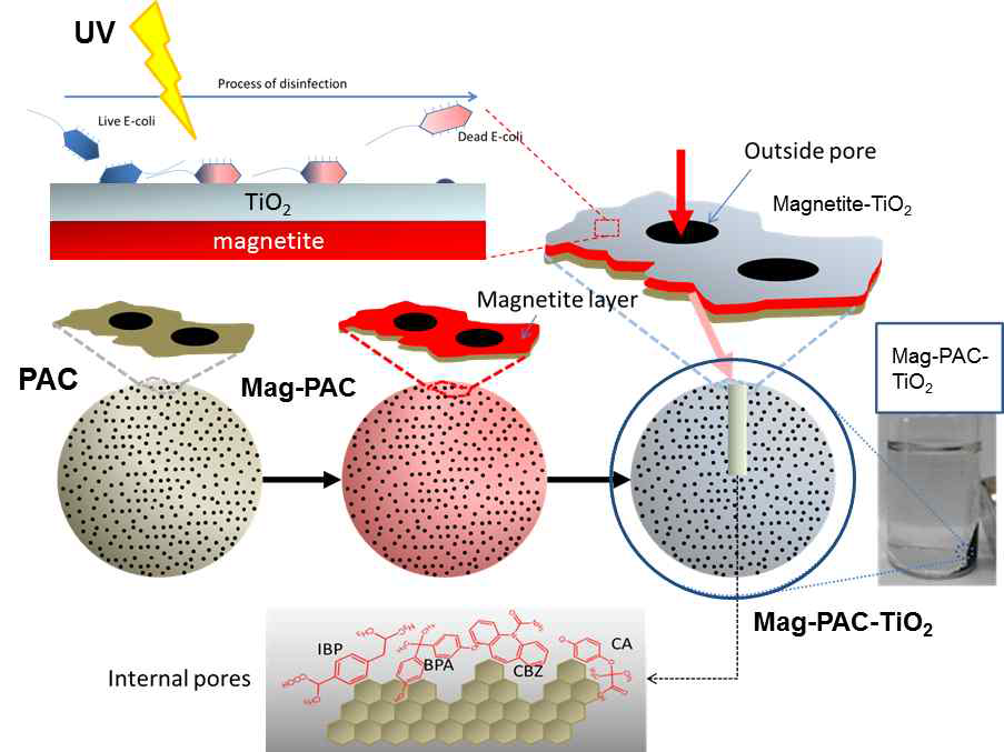 Mag-PAC-TiO2 제조과정 및 internal pore로의 미량 유기화합물 흡착과 유해 미생물 살균 기작