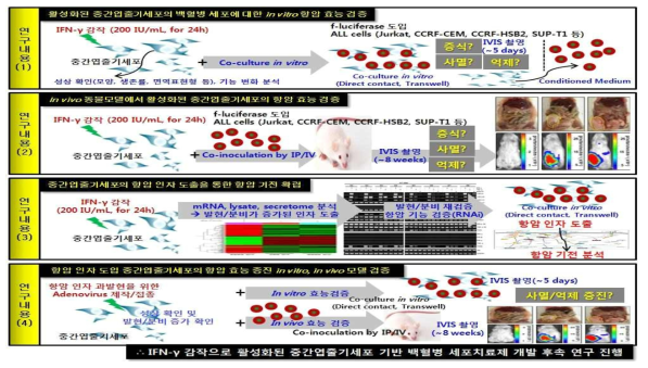 연구개요: 연구 흐름도