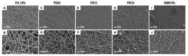 DBM 복합나노섬유 조건별 SEM 이미지