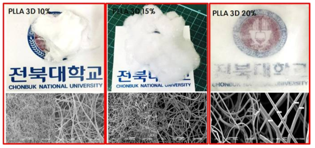 3차원 솜타입 PLLA나노섬유 지지체 농도별 모습과 SEM 이미지