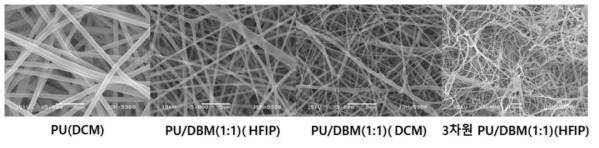 DBM을 활용한 나노섬유 제조 (SEM 이미지)