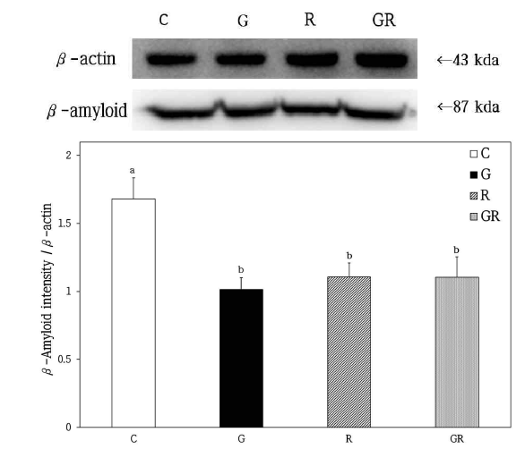 Western blot analysis expression on β-amyloid-positive cells in the hippocampus of B6C3-Tg mice. C, Control Group; G, Ginseng Group; R, Rehmanniae Group; GR, Ginseng & Rehmanniae Group. Different superscript letter(a,b) mean significantly different between all the experimental groups at p<0.05 by Duncan's multiple range test