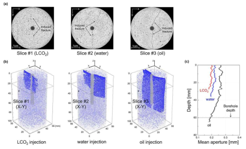 (a) 수압파쇄 된 원통형 시편의 2D X-ray 단면 이미지, (b) 시멘트 매트릭스, 공극, 그리고 균열의 3차원 구현, (c) 깊이에 따른 균열 폭의 변화