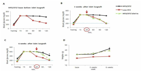 HFD/STZ mouse IVGTT 결과(A) HFD/STZ로 이식 전 IVGTT 결과(B) 도세포 이식 후 3주 때 IVGTT 결과(C) 도세포 이식 후 6주 때 IVGTT 결과(D) HFD를 진행하여 시간에 지남에 따른 체중 증가 그래프