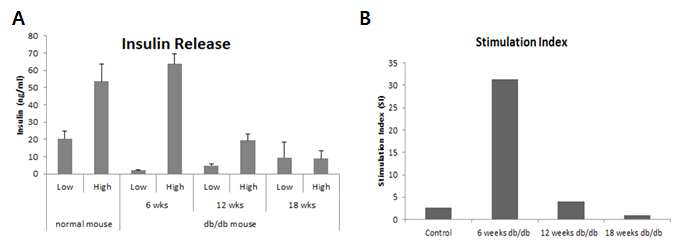 정상 쥐와 B6-db/db mouse 췌장도세포의 glucose 자극에 따른 insulin 분비능 분석