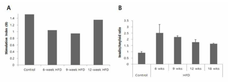 (A)glucose 자극에 따른 insulin 분비능 (stimulation index)와 (B)췌장도세포의 insulin 분비 세포에 대한 amyloid 침착 세포의 비율