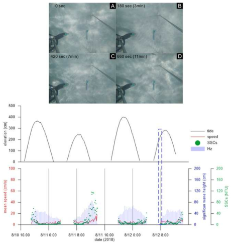 2018년 8월 10~12일까지 관측한 Go-pro 비디오 모니터링 이미지(위)와 이때의 유속, 조위, 부유물질농도(아래)