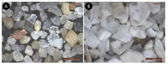 퇴적물 현미경 사진. A) 부안군 변산해빈의 석영질 쇄설성 퇴적물(siliciclastics), B) 제주시 금능 해빈의 탄산염 퇴적물(bioclastics)