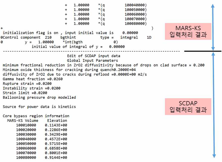 SCDAP의 입력처리 결과 출력