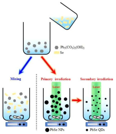 PbSe 나노 입자 형성 메커니즘