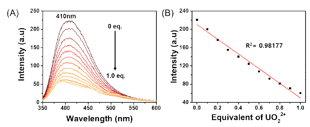 (A) H2O/THF (1/1 v/v%) 혼합 용매에서 UO22+ (0당량 ~ 1당량)를 첨가했을 때 A-1-Eu의 형광 방출 스펙트럼 (B) H2O/THF (1/1 v/v%) 혼합 용매에서 UO22+ (0당량 ~ 1당량)를 첨가했을 때 1-Eu의 형광 방출 스펙트럼의 410 nm 지점 플롯 그래프