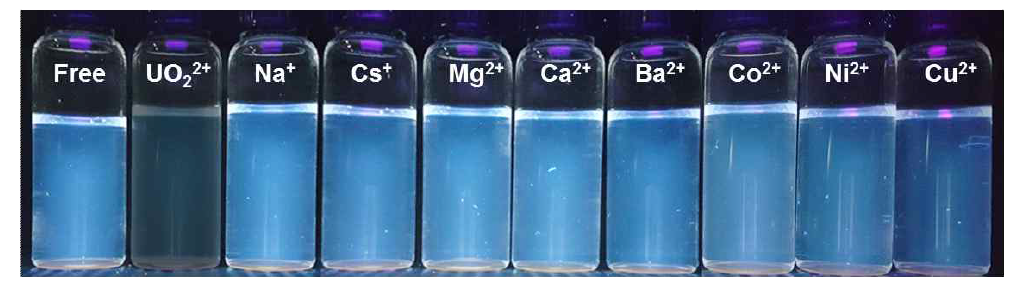 (A) H2O/THF (1/1 v/v%) 혼합 용매에서 제조된 A-1-Eu 착물과 다양한 금속 이온 (UO22+, Na+, Cs+, Mg2+, Ca2+, Ba2+, Co2+, Ni2+ 및 Cu2+)을 첨가한 사진