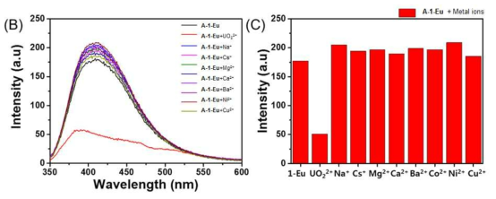(B) H2O/THF (1/1 v/v%) 혼합 용매에서 제조된 A-1-Eu 착물과 다양한 금속 이온 (UO22+, Na+, Cs+, Mg2+, Ca2+, Ba2+, Co2+, Ni2+ 및 Cu2+)을 첨가하여 측정한 형광 스펙트