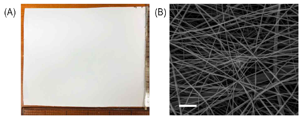 (A) ESF-A-1-Eu의 사진 (B) A-1-Eu 착물을 포함하는 전기 스푼 필름 (10 cm × 10 cm) ESF-A-1-Eu의 주사전자 현미경 이미지