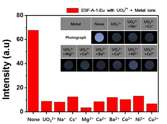 다양한 금속 이온을 첨가한 ESF-A-1-Eu (UO22+, UO22++Na+, UO22++Cs+, UO22++Mg2+, UO22++Ca2+, UO22++Ba2+, UO22++Co2+, UO22++Ni2+ 및 UO22++Cu2+)의 사진과 형광 세기 그래프