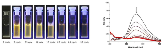 B-1에 UO22+의 당량별 첨가에 따른 형광사진 (좌) 형광스펙트럼 (우)