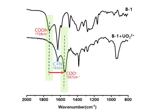 B-1에 UO22+ 첨가 전 후의 IR 스펙트럼
