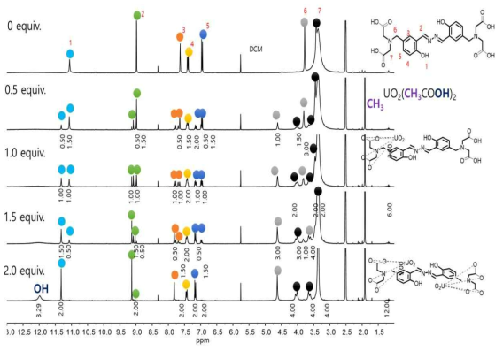 B-1에 UO22+의 당량별 첨가 NMR 스펙트럼
