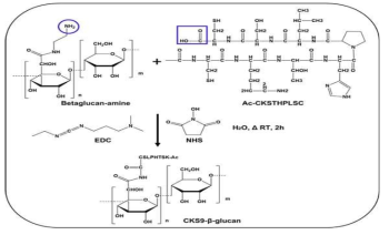 β‐glucan-CKS9 제조
