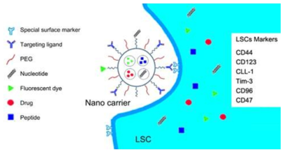 Nanomedicine 기반 백혈병 줄기 세포 (LSC) 치료