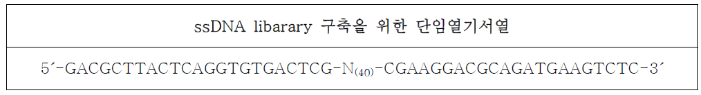 DNA 압타머 발굴용 ssDNA libarary 구축을 위한 단일염기서열 설계