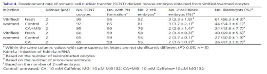 동결/융해 난모세포의 Caffeine, Caffeine + MG132 처리에 따른 체세포 복제 배반포 발달율