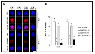 신선난과 동결/융해난의 체세포 복제 후 Kdm4a mRNA 주입을 통한 H3K9me3의 탈 메틸화