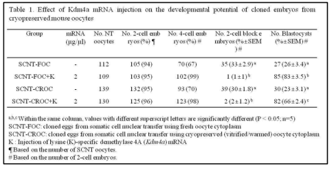 신선난과 동결/융해 체세포 복제난의 발달에 Kdm4a mRNA 주입이 미치는 영향