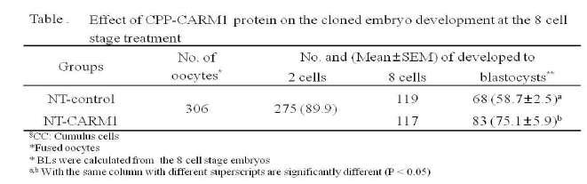 CPP-DsRed2 효율확인 및 체세포 복제배아에 처리한 CPP-CARM1의 효과