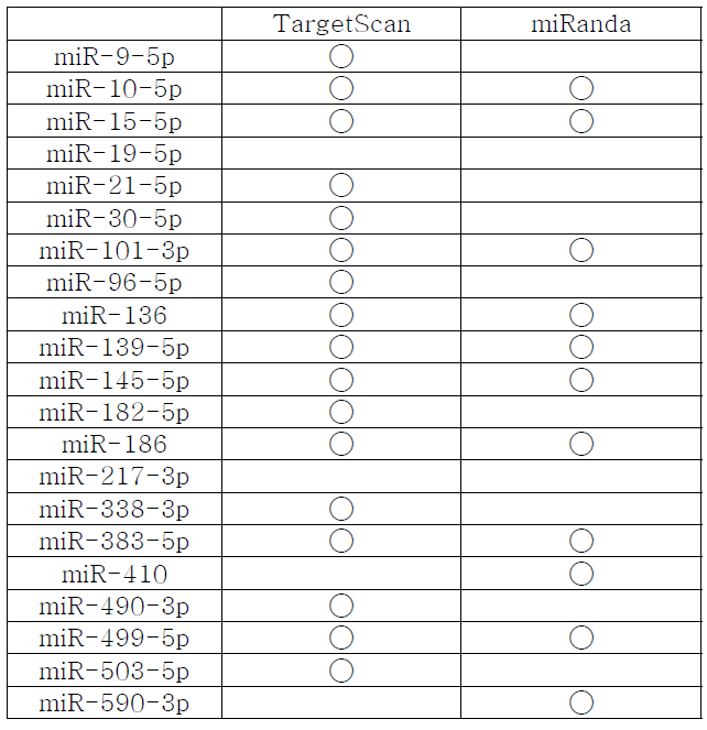 mRAD51을 조절하는 후보 마이크로 RNA의 선정