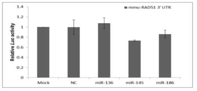 mRAD51와 선별 마이크로RNA간의 조절 네트워크 확인