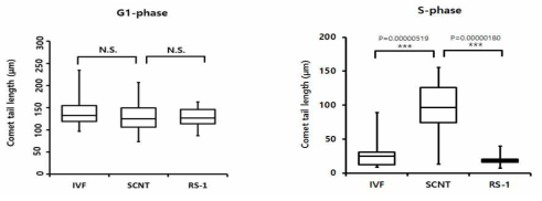 Comet assay 결과에서 각 샘플의 tail 길이를 측정하여 통계분석한 결과