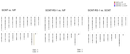 IVF-ESCs, RS-1을 처리한 그룹과 처리하지 않은 그룹 SCNT-PSCs의 array comparative genomic hybridization (CGH)