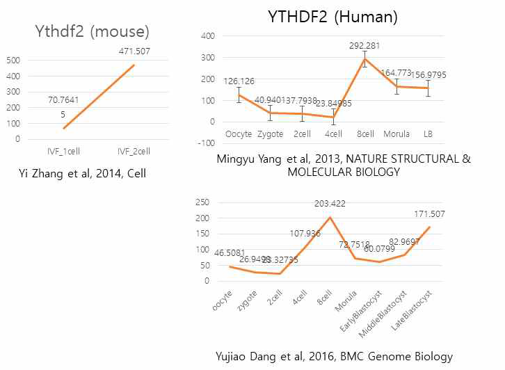 zygotic genome activation (ZGA) 과정에서 m6A 조절인자들의 발현양상 변화