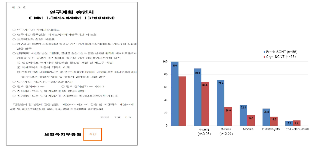 동결난자 유래 인간 체세포복제 배아줄기세포주 연구계획 승인서 및 효율증진 검증