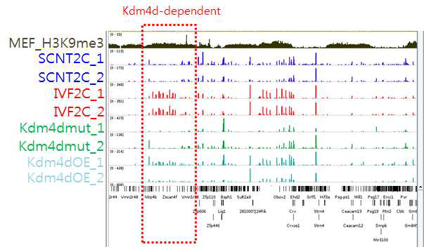 Kdm4d-dependent epigenetic barrier의 예