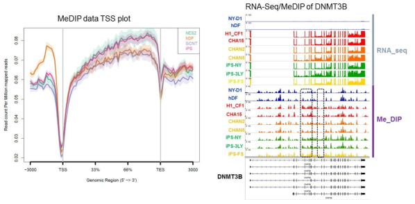 인간전분화능줄기세포에서 RNA-Seq 및 MeDIP 분석)