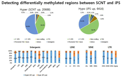 Genomic distribution of methylation in human pluripotent stem cells