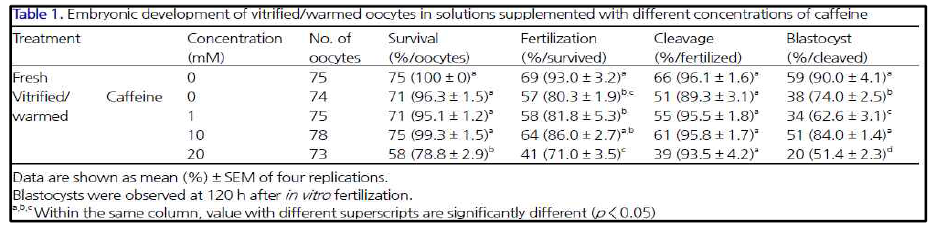 동결/융해 성숙난자의 Caffeine 농도에 따른 체외 수정 배반포 발달율