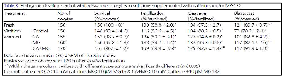 동결/융해 성숙난자의 Caffeine, MG132, Caffeine + MG132 처리에 따른 체외 수정 배반포 발달율