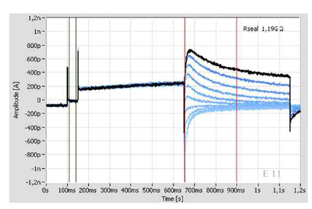 hERG current. -40mV holding potential 값에서 (green lines) hyperpolarization 이후 –40mV로 depolarization 시킨 후 생긴 current (red lines)의 차이를 hERG current 값으로 결정