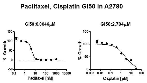 암세포주(A2780)에서 Paclitaxel과 Cisplatin의 성장 억제 곡선