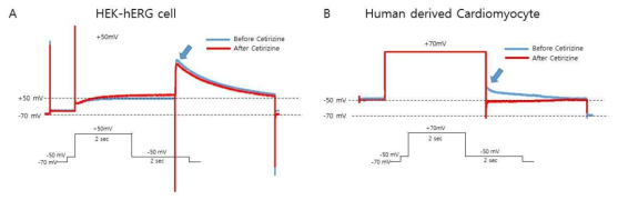 A. hERG channel이 과발현된 HEK-hERG 세포에서 Cetirizine dihydrochloride 처리 전(파란색)과 처리 후(빨간색)의 hERG current의 변화, B. 인간유래 줄기세포 cardiomyocyte에서 Cetirizine dihydrochloride 처리 전(파란색)과 처리 후 (빨간색)의 hERG current의 변화 독성 평가 (빨간색)