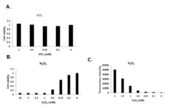 HTL (A)과 H2O2 (B, C) 처리에 따른 세포 생존능 (A, B) 및 ROS 생성능 (C) 분석