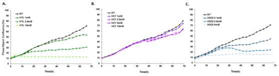 HTL (A), HCY (B) 및 H2O2 (C) 처리에 따른 EPC의 세포 성장 실시간 추적 Incucyte 그래프